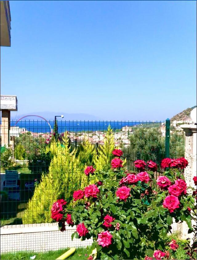 Magnifique Avec Piscine Prive